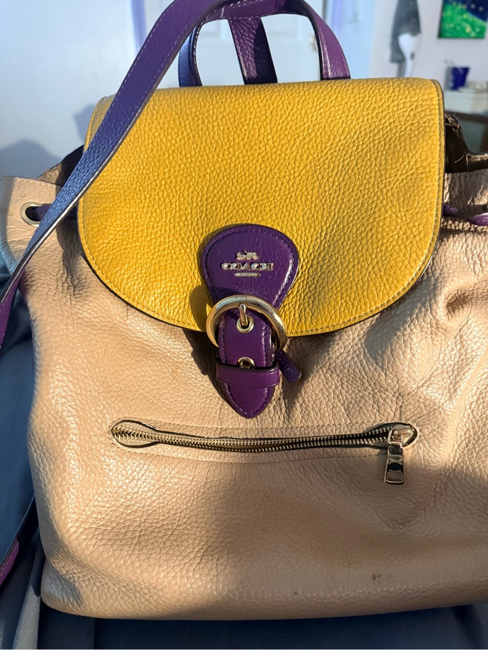 Coach Colorblock Pebbled Leather Backpack in Yellow, Purple & Tan